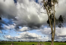 天涯顶级神贴大揭秘：那些让人high翻天的论坛经典